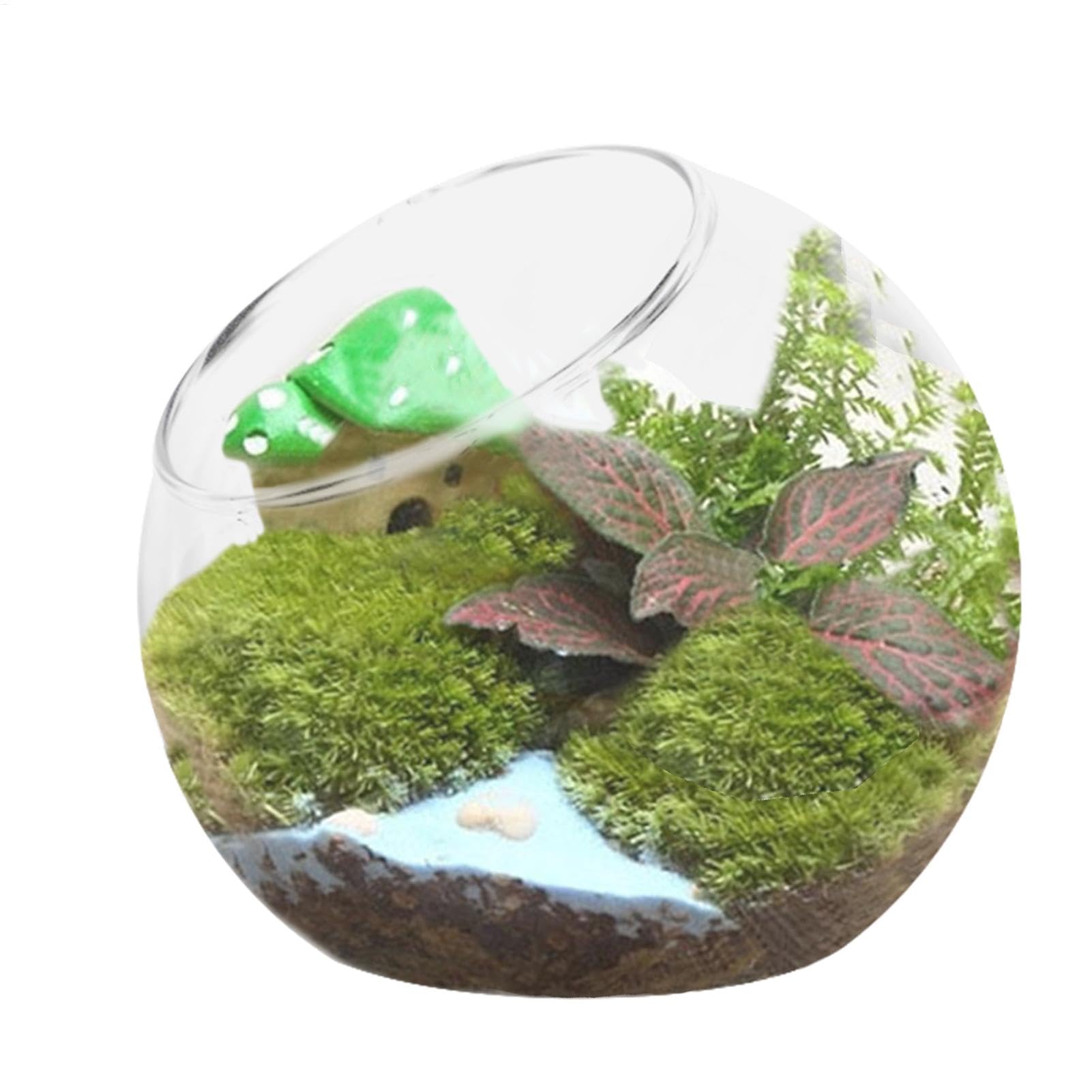 Glass Slant Cut Bowl Glass - Round Slant Cut Bowl Terrarium Slanted Globe | Air Plant Holders Terrarium Tank | Plant Bowl Vase Home Display | Terrarium Glass for Succulent Miniature Moss Air Plant