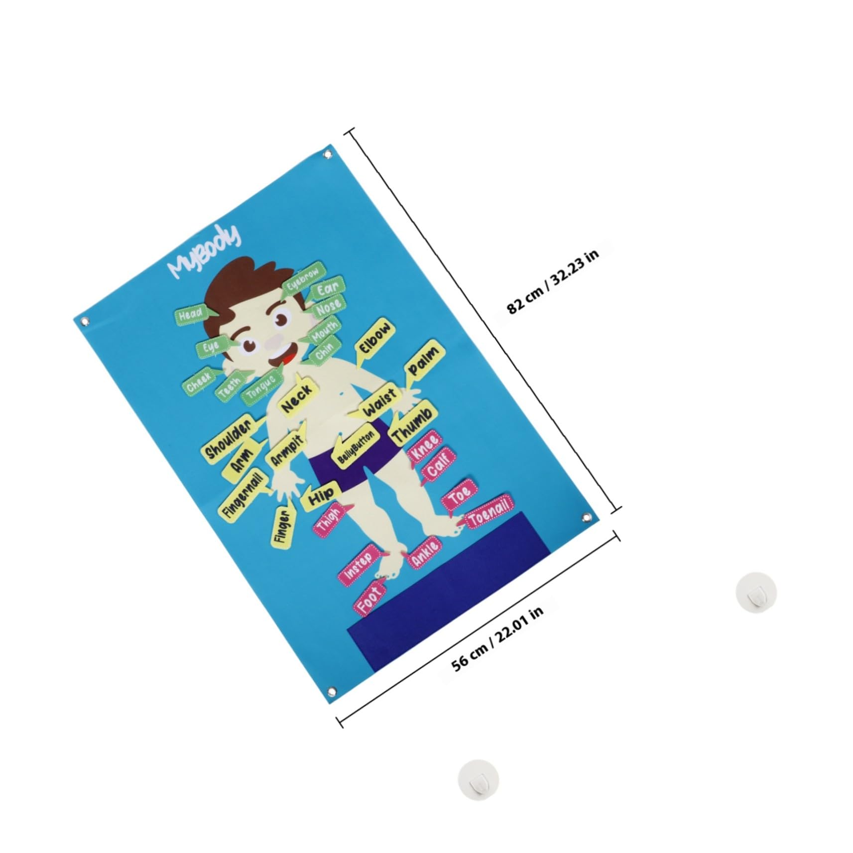 BESPORTBLE Tablero de Fieltro Forma de Cuerpo Humano para Niños en Edad Preescolar, 82X56 CM, Herramienta Interactiva de Aprendizaje Práctico para Actividades Grupales y Narración