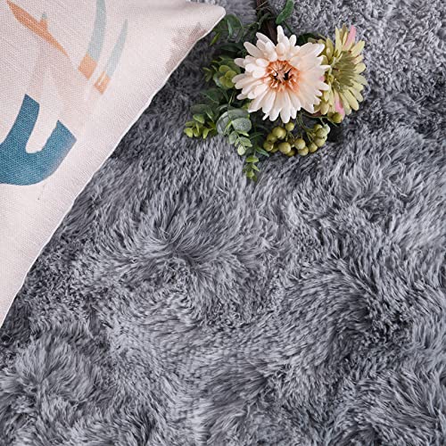 Dweike Super Soft Shaggy Rugs Fluffy Carpets, Tie-Dye Rugs For Living Room Bedroom Girls Kids Room Nursery Home Decor,Non-Slip Machine Washable Carpet,5X8 Feet Grey #TOP3
