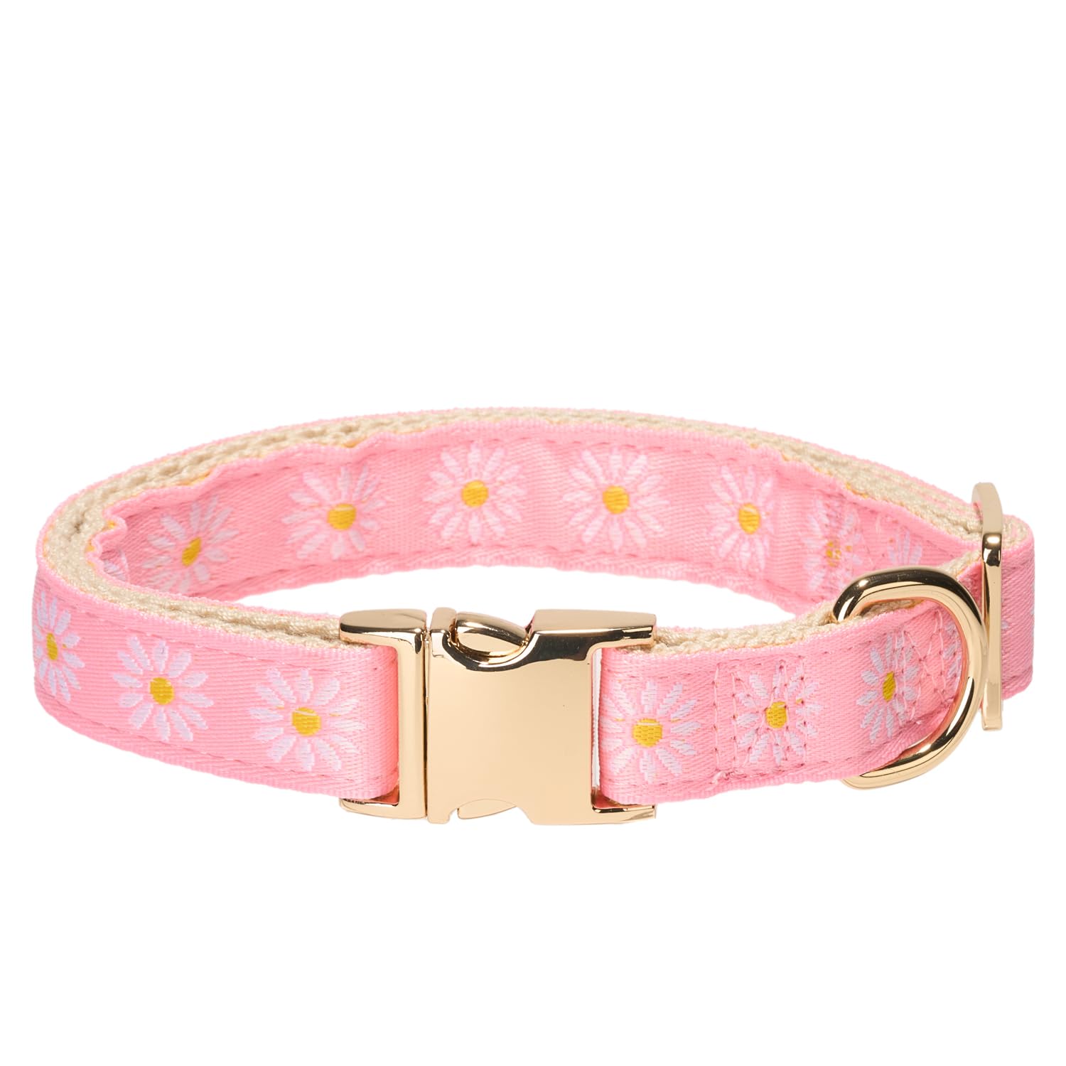 Trendy Jacquard Webbing Daisy Pattern Pink Dog Collar with Soft Natural Cotton Padding and Gold Metal Buckle