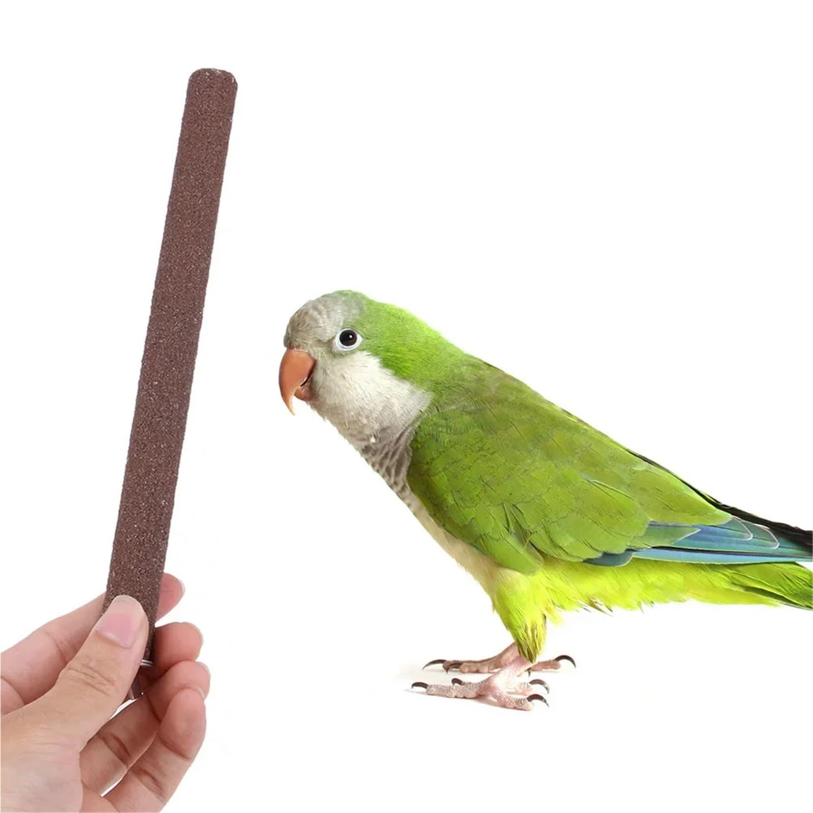 Lot de 8 jouets pour perroquets - Perchoir à oiseaux - Plateforme - Jouet à mâcher - Broyage des pattes - Propre pour morsures et perruches