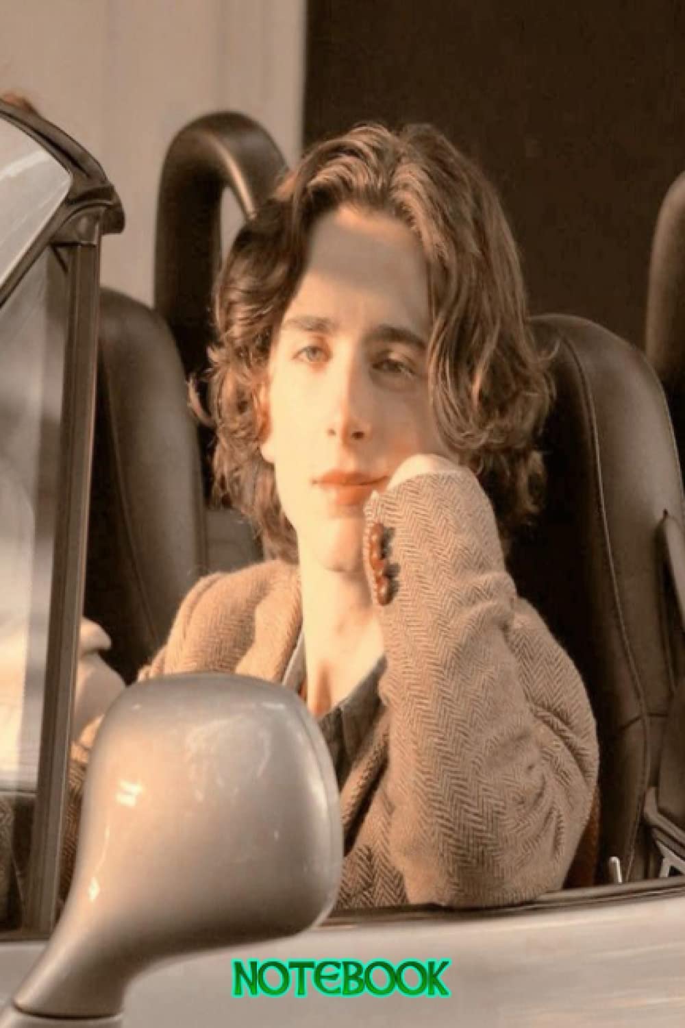 Notebook : Timothee Chalamet College Rule Lined Writing your Ideas and Notes, Thankgiving Notebook Journal #761