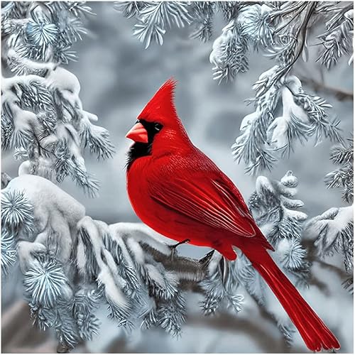 Stalente Kits de pintura de diamantes para adultos, cardenal 5D DIY kits de arte de diamantes para principiantes, pintura de diamante redonda para
