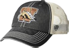 Collegiate Vintage Design Adjustable Hats