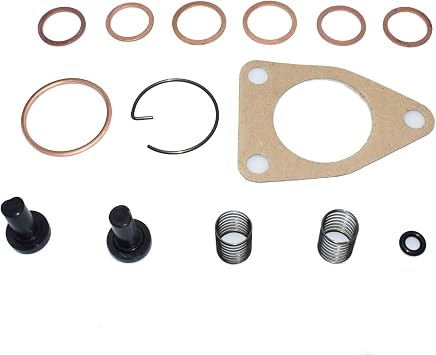 Gasket Repair kit For DGK301 Supply Pumps ADS-DGK-301 feed pump kit 2447010004 GK301,DGK301-R