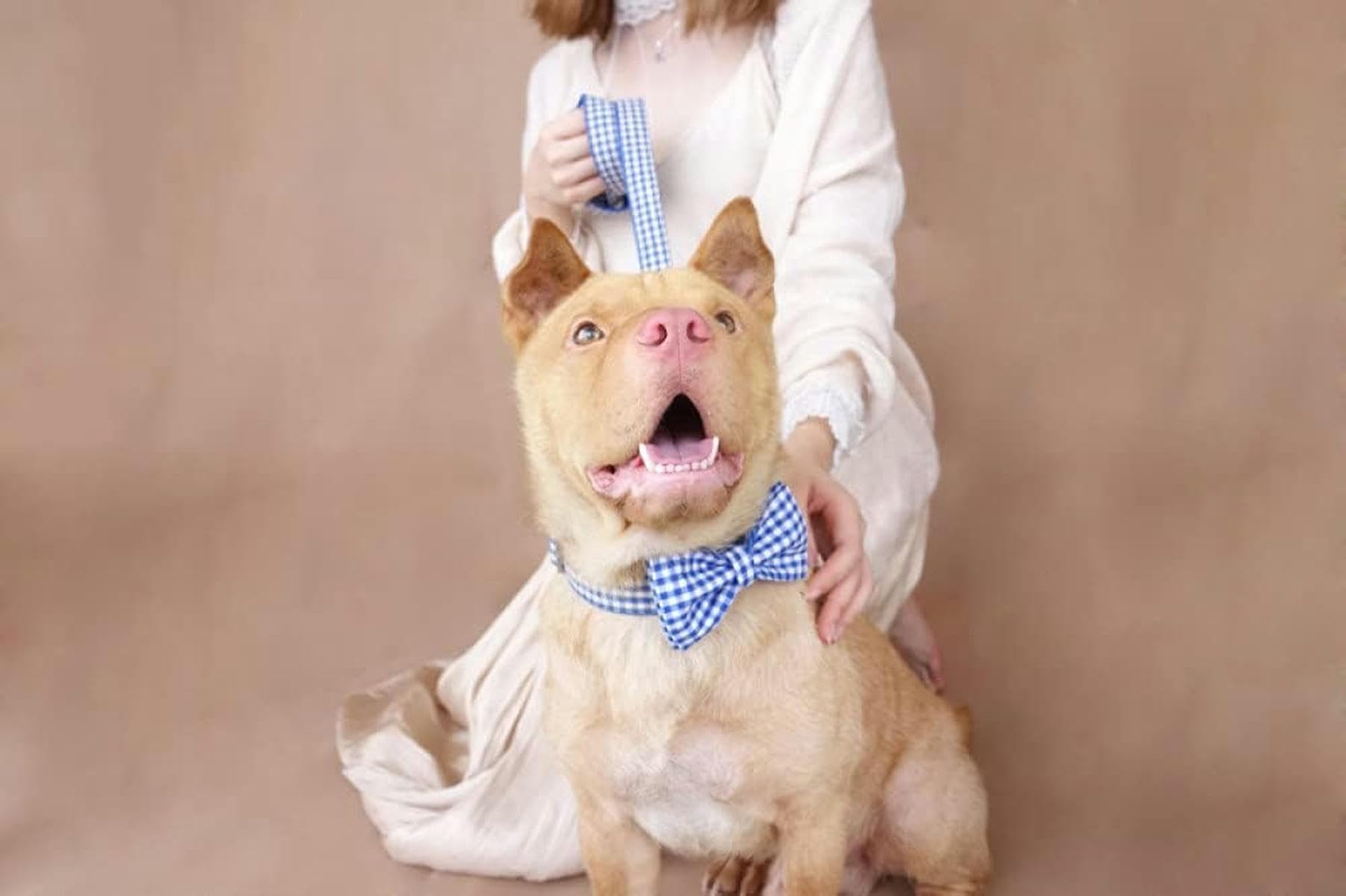 personalisiertes Halsband verstellbare Hundehalsbänder Leinen 5 Größen-Hundehalsband Leine Set-XL