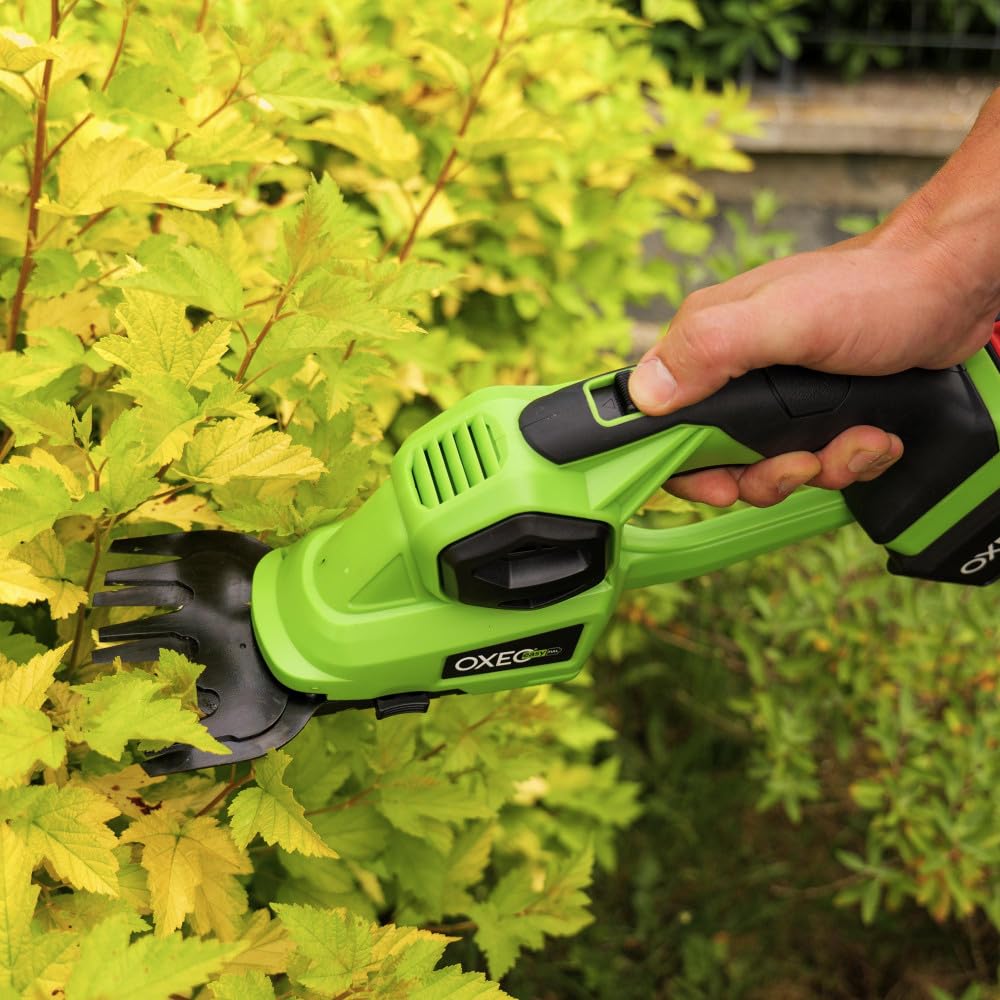 Cisaille à gazon - sculpte buisson taille haie sans fil 2en1 18V - 2 lames - Avec batterie 4Ah et chargeur super rapide 4A