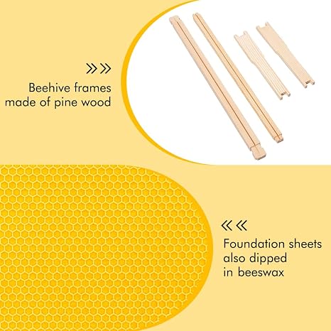 Honey Lake 10 Frame Medium Super Bee Hive Box, Langstroth Beehive Super Honey Bee Box Dipped in Beeswax Include Beehive Frames and Waxed Foundations for Beginners Beekeepers (Unassembled)