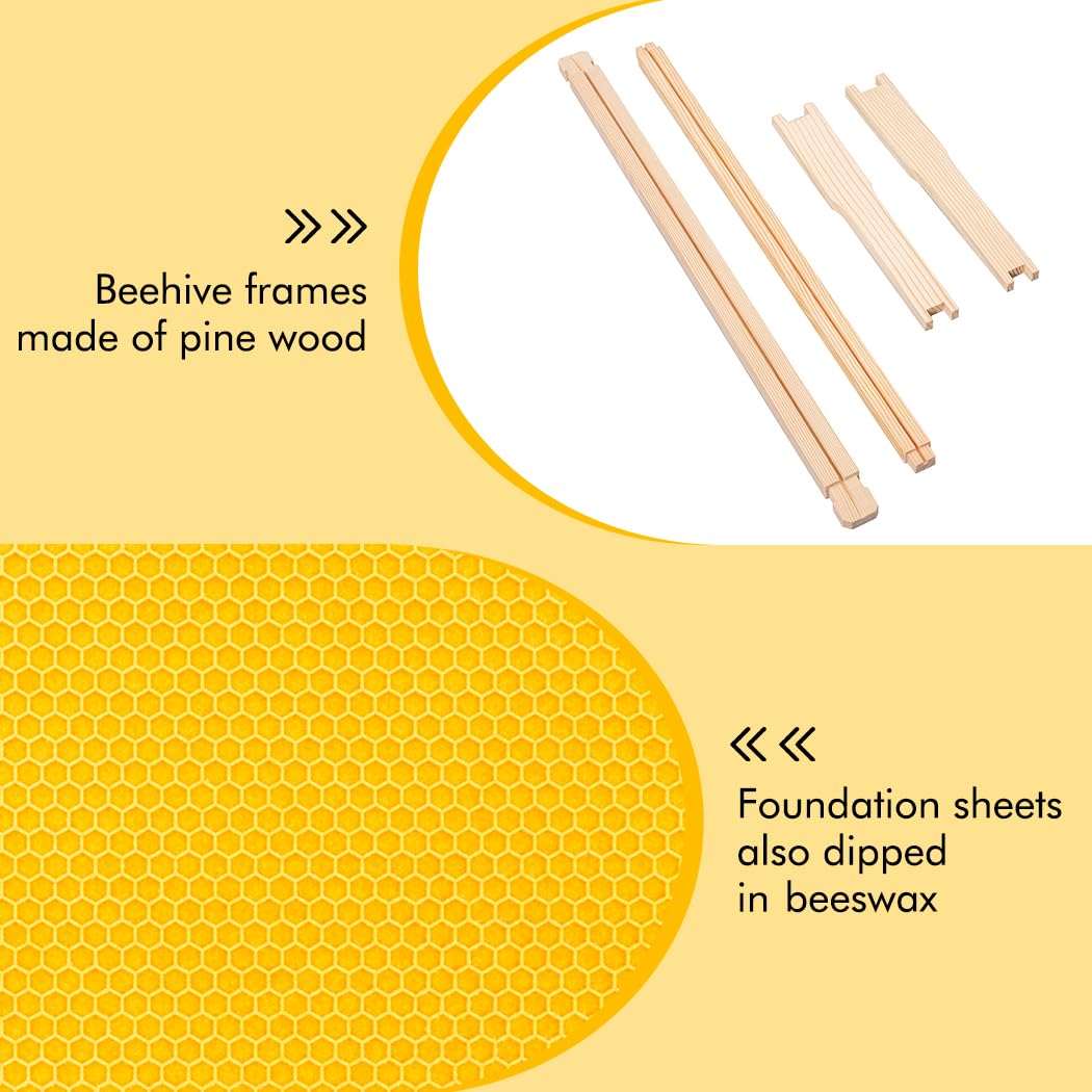 Honey Lake Lot de 10 Cadres et fondations de Ruche en Bois et fondations en Plastique trempé à la Cire d'abeille Naturelle pour l'apiculture