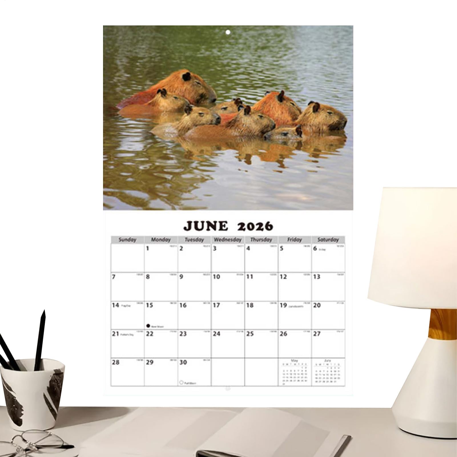 12 Monate Wandkalender,Englischer Terminplaner - 12 Monate Kalender für | die Wandmontage,Für Klassenzimmer Wohnzimmer Studentenzimmer Arbeitszimmer Schüler Lehrer