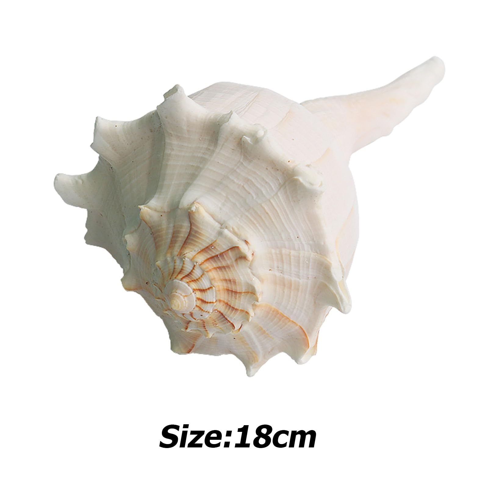 WOFICRET Home Conch Shell, Conch Shell Decor, Beach Bathroom Decor, Nautical Decor,Natural,18cm