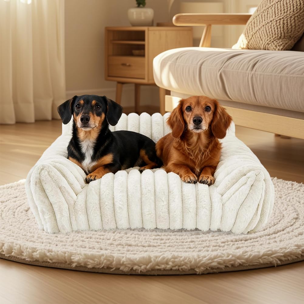 Katzensofa Bett, Katzenbett 60x45x20cm, Katzenbetten für Hauskatzen Weich und Flauschig, Kleines Hundesofabett Katzensofabett, Waschbarem Bezug Anti-Rutsch Hundebett Sofa für Hunde (Weiß)