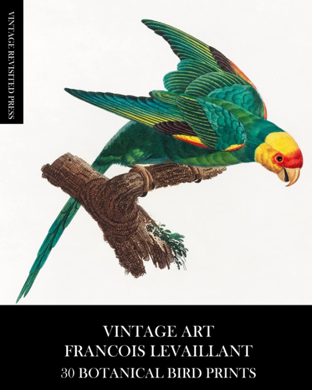 Vintage Art: Francois Levaillant 30 Botanical Bird Prints: Ephemera for Framing, Decoupage, Collage, Mixed Media and Junk Journals