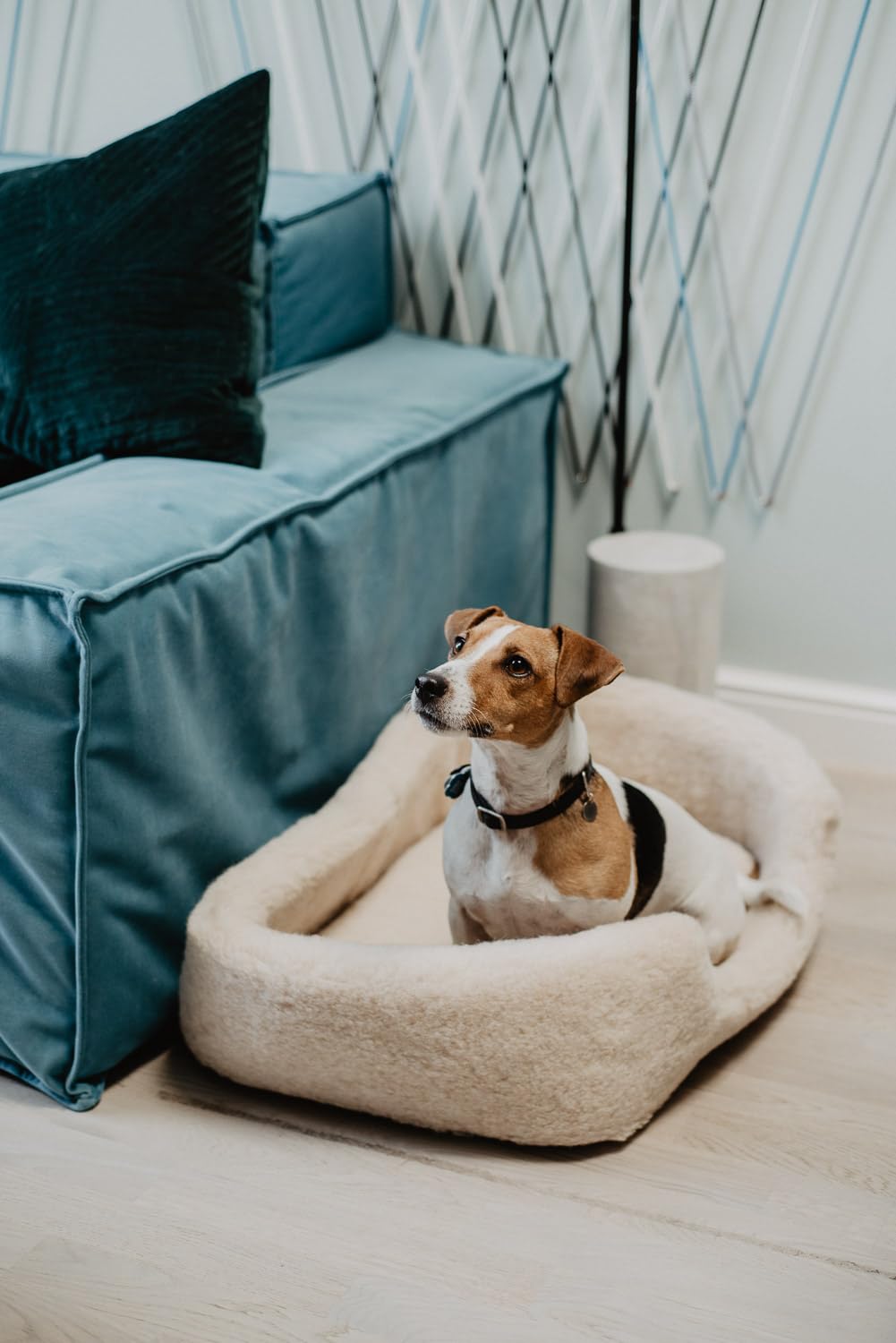 Cama para Perros de Lana de Oveja - Cama para Perros Pequeños y Medianos - 40x60cm - Cojín para Perros en Tejido Natural Transpirable - con Cojín Interior Extraíble - Natural