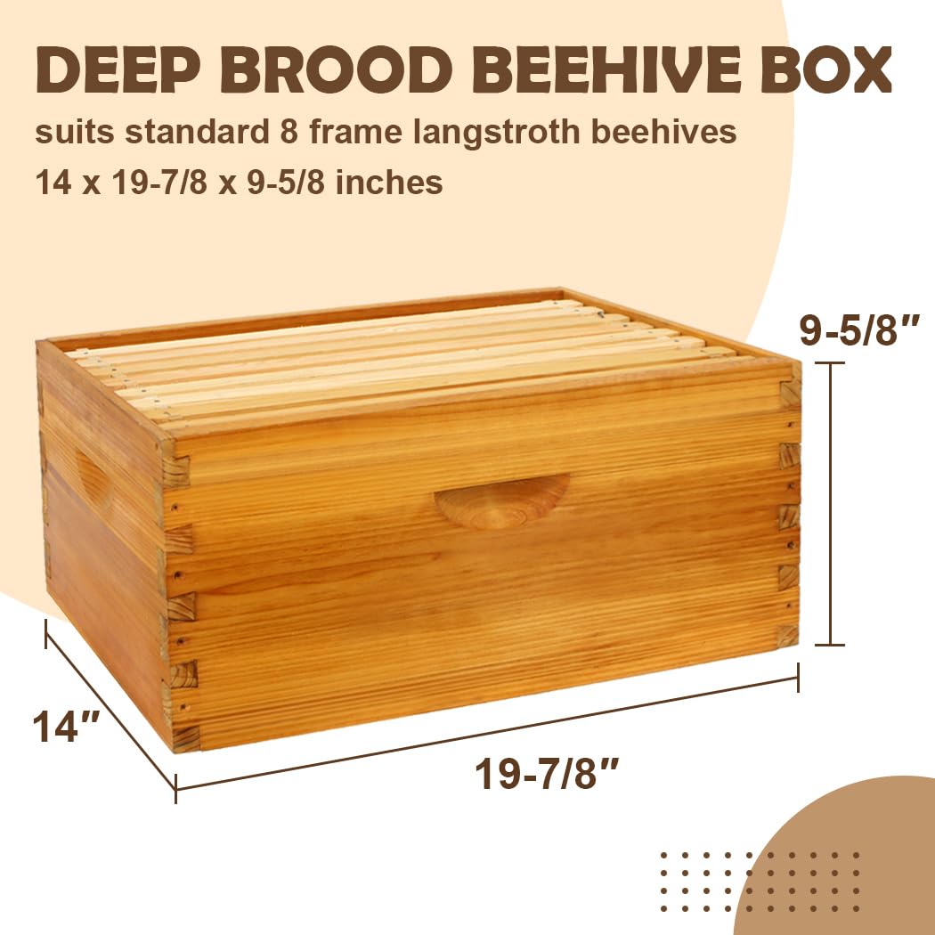 Amazon.co.jp: BEEINN 8フレーム ハチの巣箱 Langstroth Deep Brood