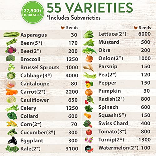 55 Heirloom Vegetable Seeds | 27,500+ Non Gmo Garden Seed Variety Pack | Gardening Seeds For Planting Vegetables And Fruits, & Lettuce | Prepper Supplies | Survival Gear | Spring, Summer, Fall #TOP3