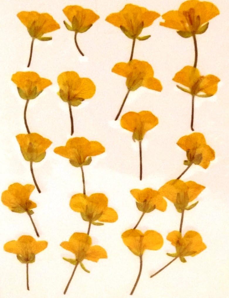 hukusan Flower Pack asparation (Yellow) FUK – 1031