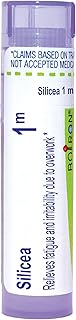 Boiron Silicea 1M for Fatigue & Irritability Due to Overwork - 80 Pellets