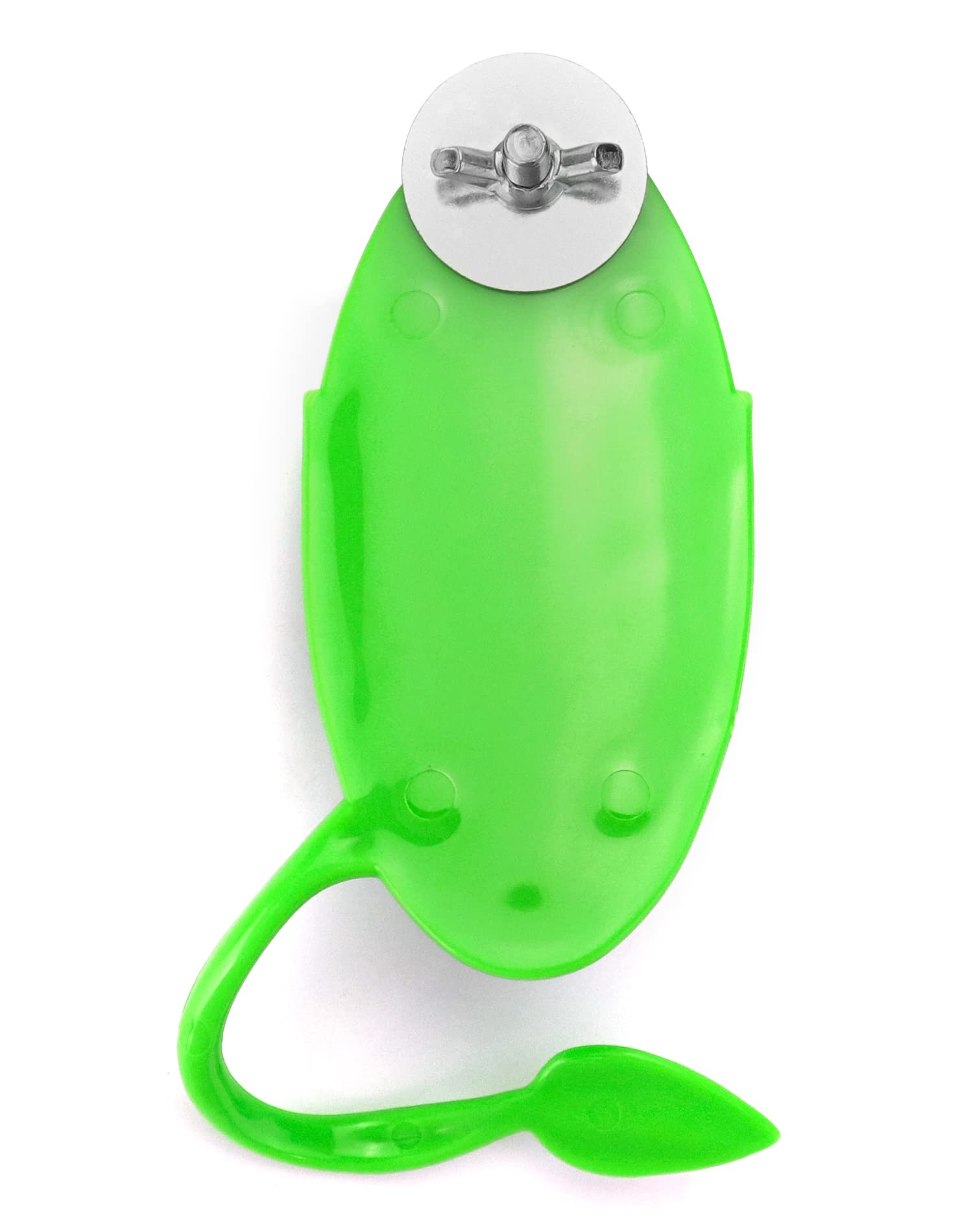 QWORK® 2Pcs Support pour os de seiche Oiseaux avec perchoir, mangeoire à Oiseaux pour mil/Fruits/légumes