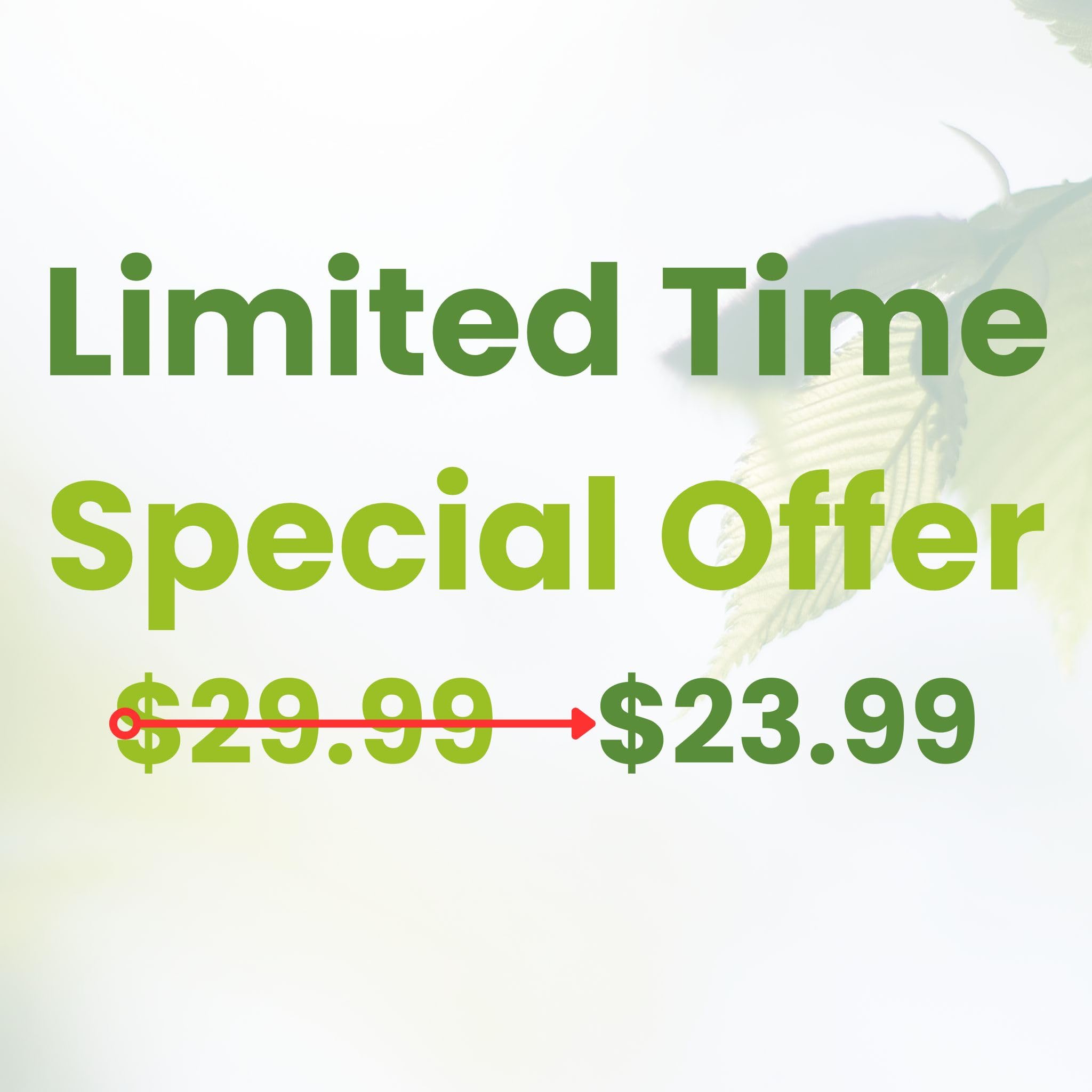 360 PCS Wooden Disposable Cutlery Set – 120 Forks, 120 Knives, 120 Spoons, Compostable Utensils & Plastic-Free Flatware for Party, Camping & Wedding