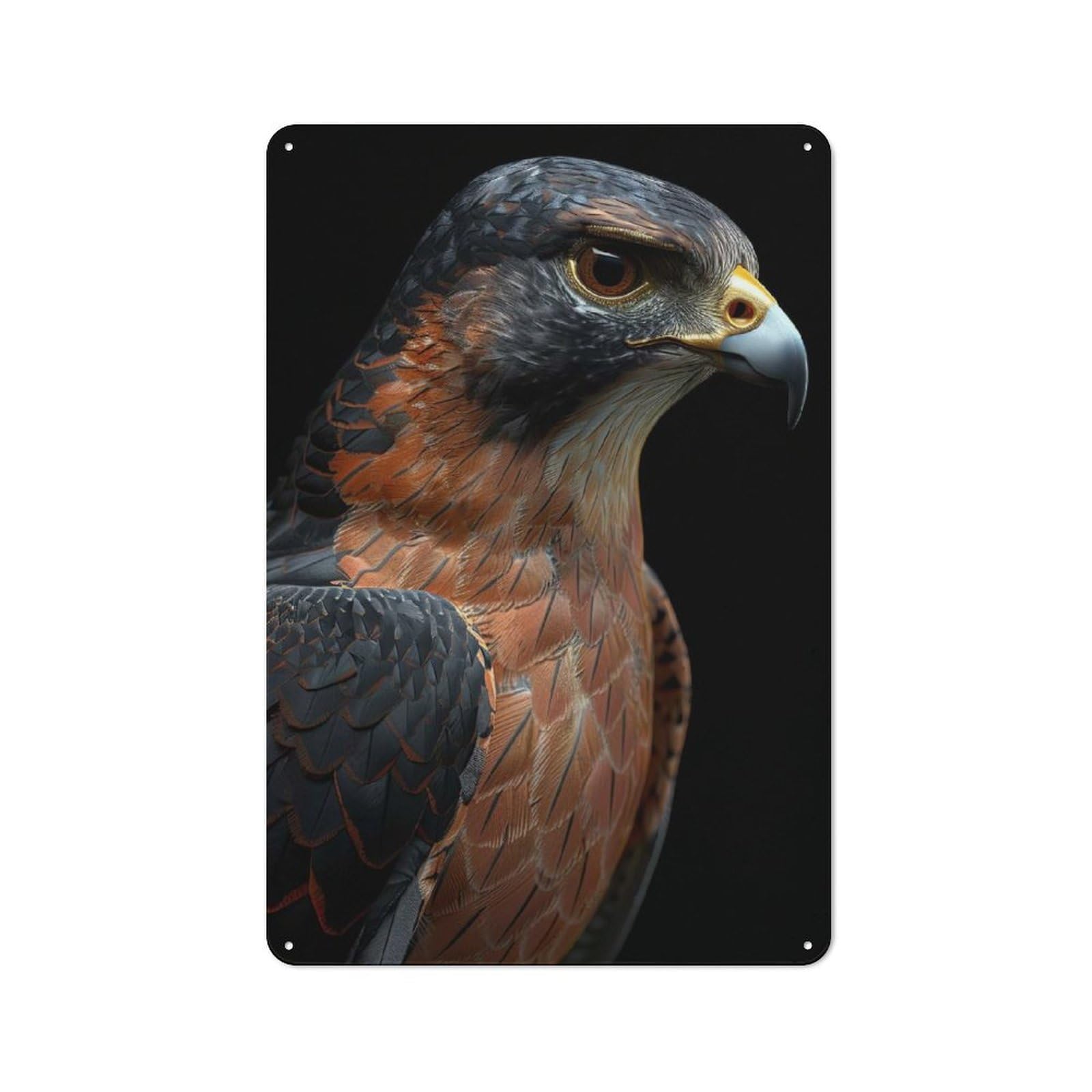 Junmoney Style-16 Metal Wall Sign 30X20cm Featuring Falcon For Hallway Wall, For Vintage Wall Decor Fans, For Cafés, Pubs And Restaurants