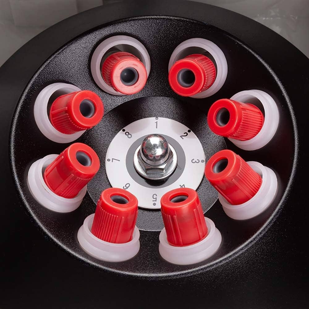 61WTn-LzjdL._AC_UF1000,