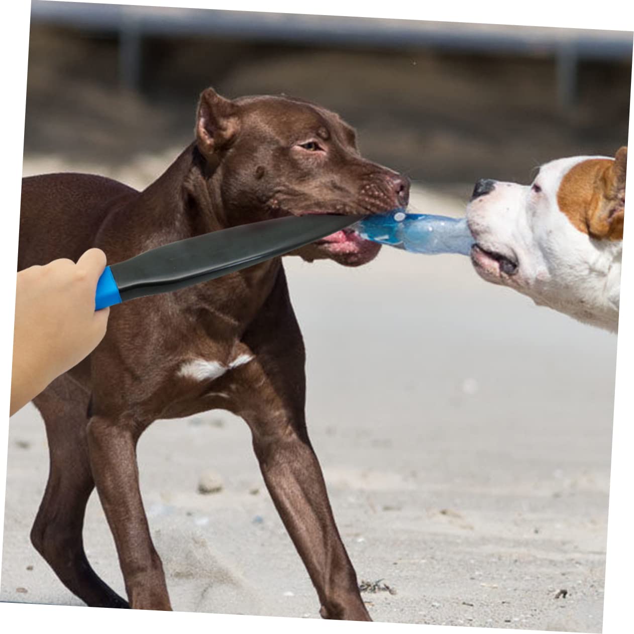 Angoily Dog Training Equipment Aggression Prevention Mouth Break Stick Biting Tool Large Dog Black Practical