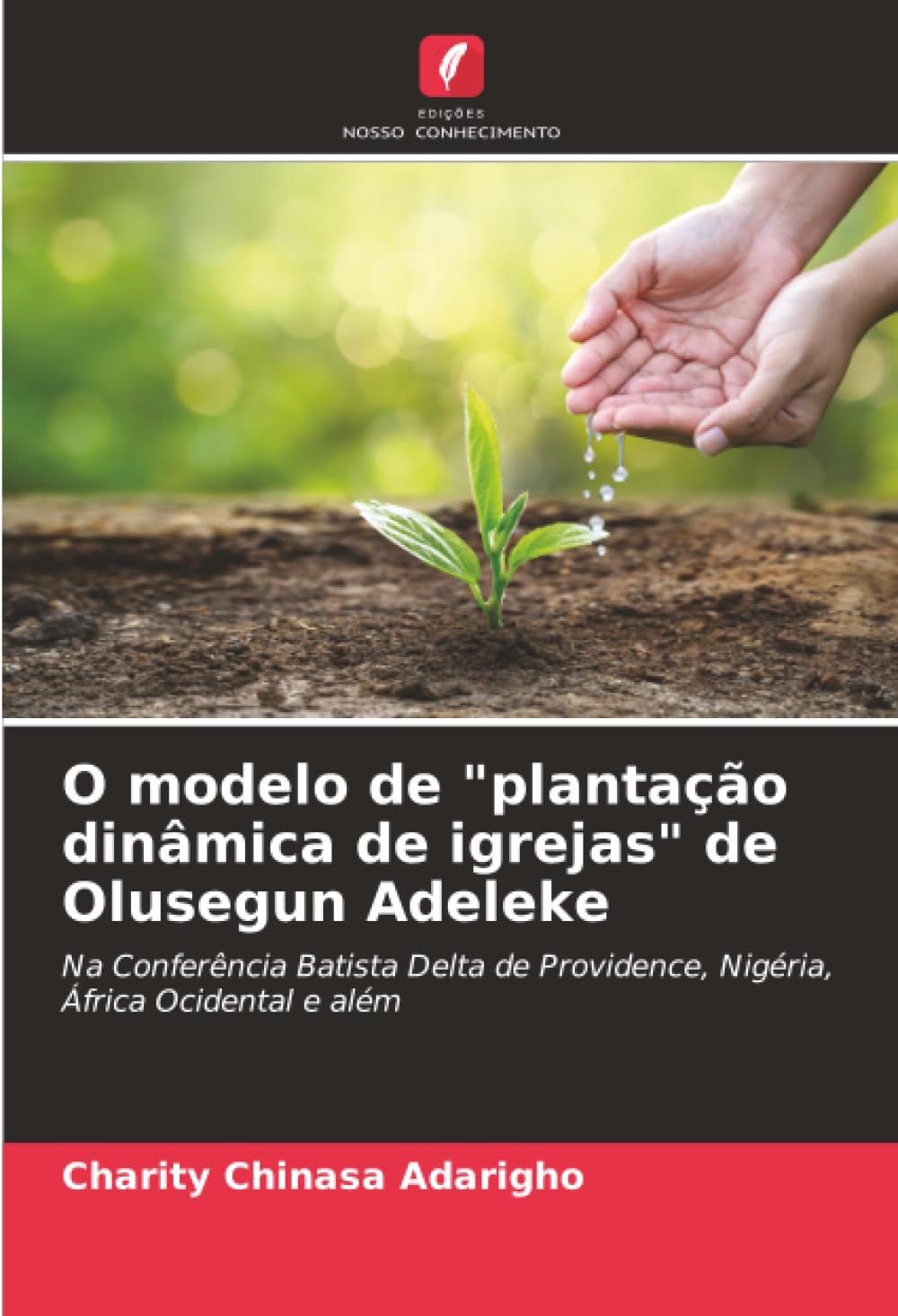O modelo de "plantação dinâmica de igrejas" de Olusegun Adeleke: Na Conferência Batista Delta de Providence, Nigéria, África Ocidental e além