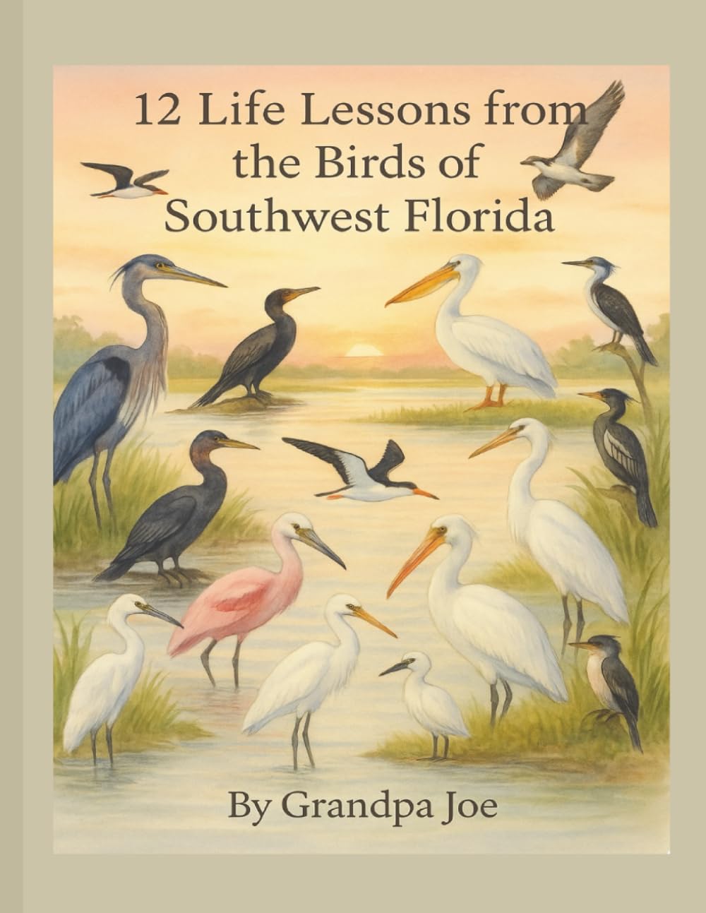 12 Life Lessons from the Birds of Southwest Florida (Grandpa Joe's Life Lessons Library)