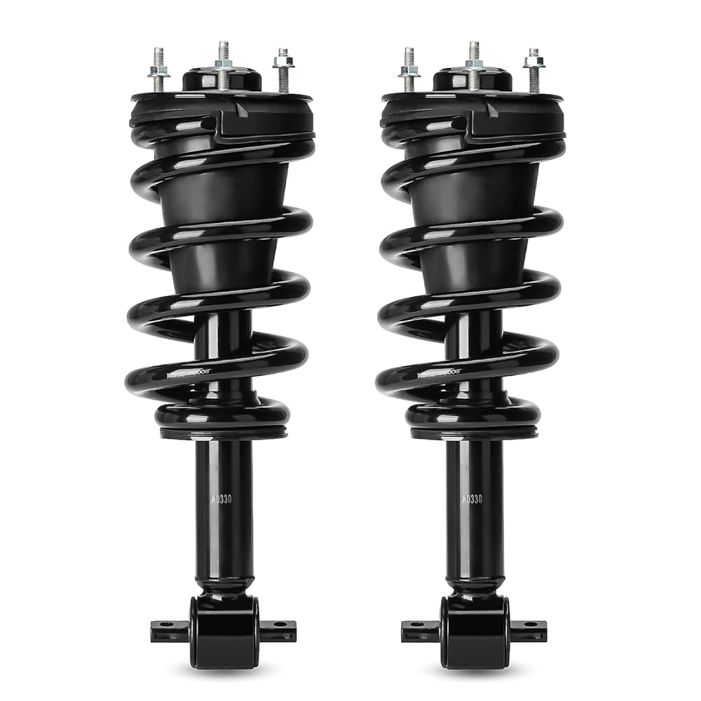 Lycoris.　1113 Amazon.com: 139104 Front Struts Shocks w/Coil Springs for