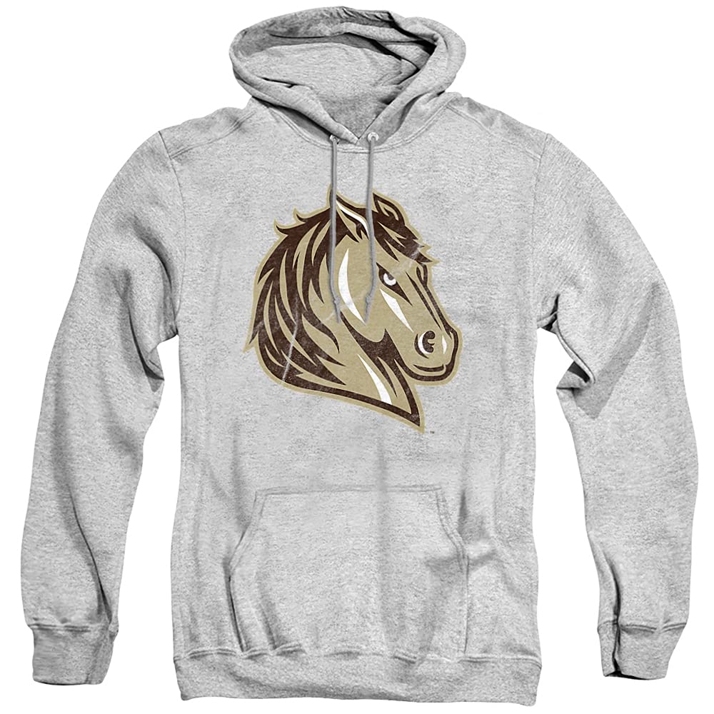 LOGOVISION Official Collegiate Distressed Primary Logo Adult Pullover Hoodie Collection — view 413
