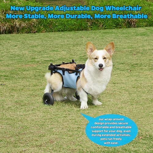 celestaura Dog Wheelchair for Back Legs, Dog Wheelchair Cart, Doggy/cat Wheelchairs with Disabled Hind Legs Walking, Mobility Aids for Small Pets Hind Limbs, Dogs Carts with Wheels, Light Weight,M