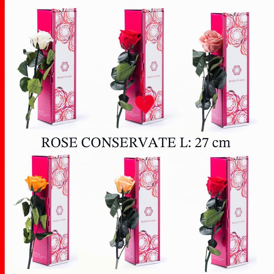 Rosen-Te-Amo | regalo Festa della Mamma | Rosa vera stabilizzata profumata "San Valentino" e biglietto auguri | Rosa eterna rossa | idea regalo compleanno, San Valentino, Natale | Regalo Donna
