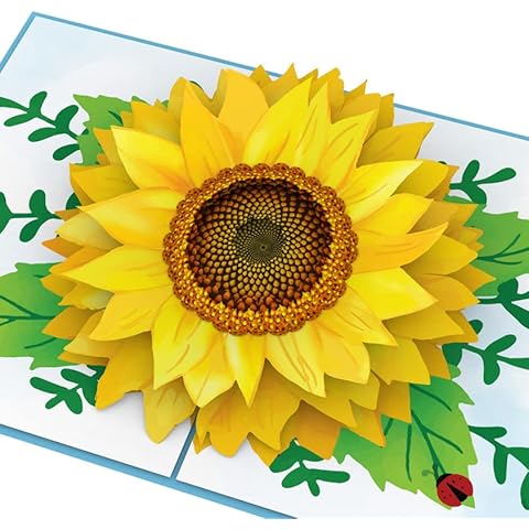 UNIPOP Sunflower Pop Up Card, Happy Mother's Day Card, Father's Day Card, Grandparents Day Card, Graduation Card, Get Well Card, Congratulations Card Cover