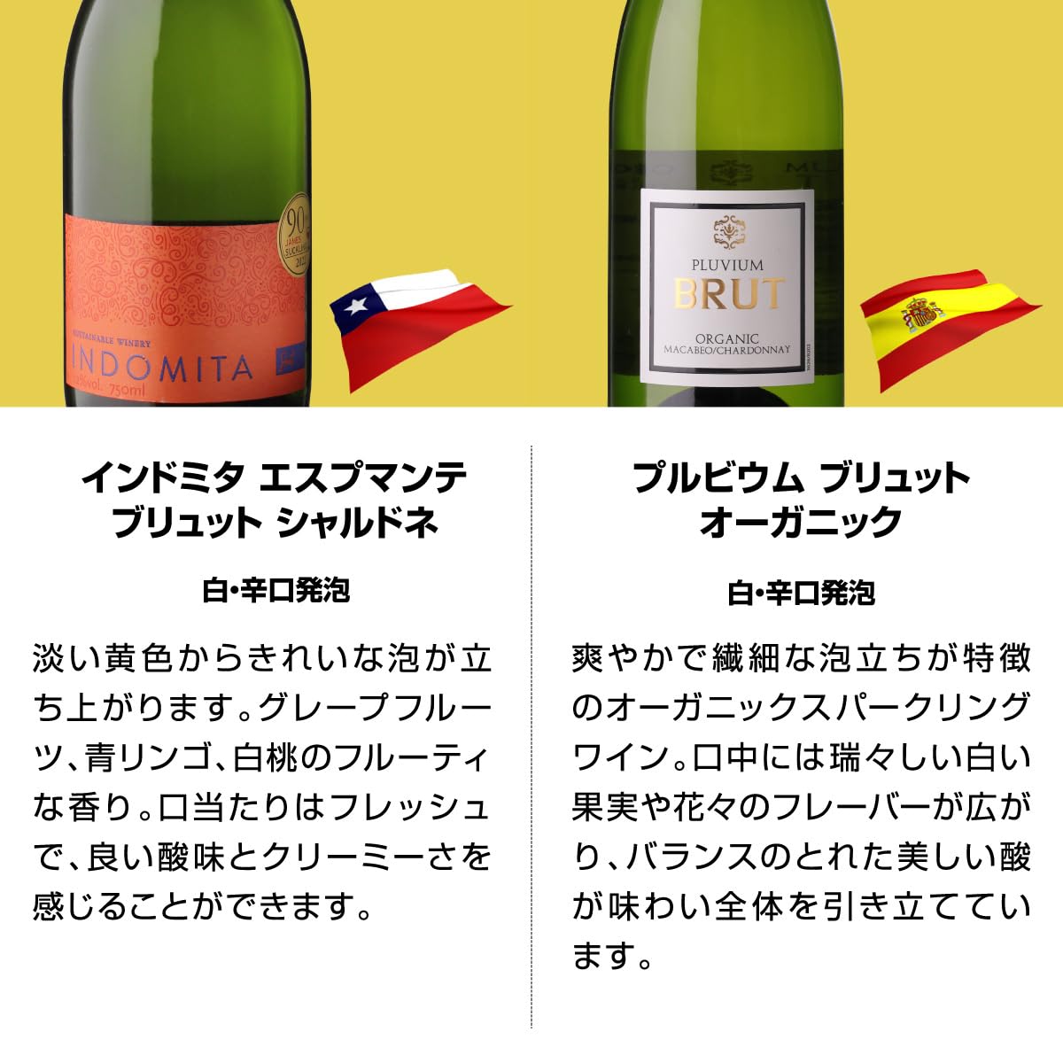 Amazon.co.jp: エブリデー泡10本セット コスパ最強 デイリー飲みに