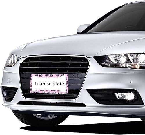 Miniatura 7 de 2 marcos de matrícula de automóvil para mujeres y hombres, cubierta de aluminio sólido con estampado de cámara vintage rosa para placa de matrícula