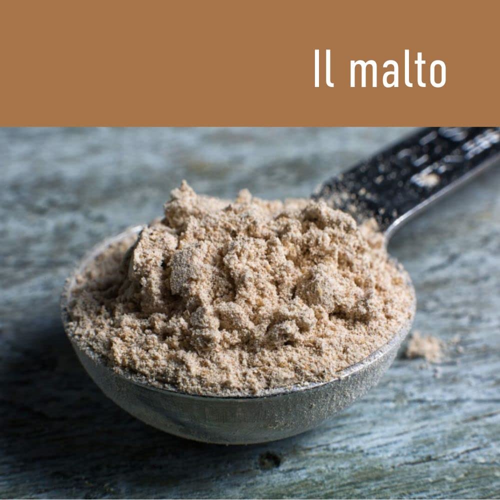 Malta diastásica en polvo para pan y pizza 500 g