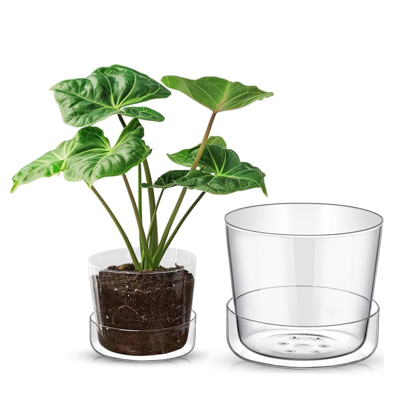 SHEER POTS Sheer Glass Pot Planter with Drainage Holes & Tray - Decorative & Modern for All House Plants (4 & 6 Inches)