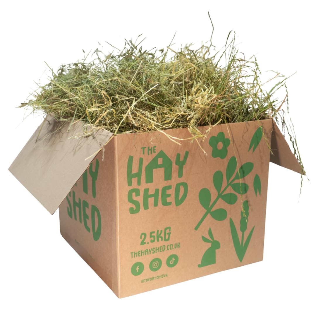 The Hay Shed Rye & Timothy Hay for Small Pets – High Fibre Long Stem Feeding Grass Blend, Barn Dried, Dust Free - Natural Edible Foraging Food for Rabbits, Guinea Pigs, Chinchillas, Degus & More