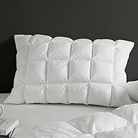 Madison Park Stay Puffed Standard Pillow Protector - Overfilled 3D Puffy Microfiber Pillowcase, Zipper Closure, Fluffy White Cover
