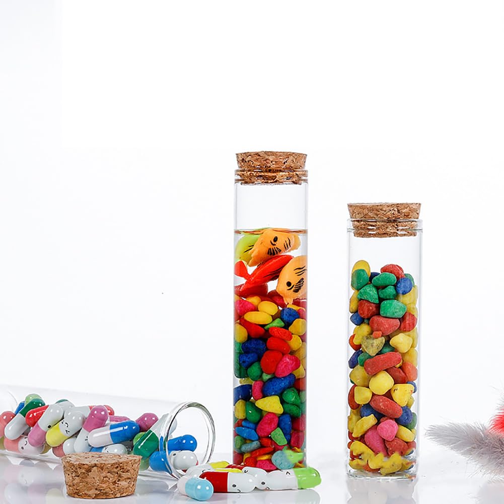 FSSTUD Lot de 10 Tubes à essai vides en Verre Transparent avec Bouchons en liège pour Message de souhaits, sels de Bain, conteneurs d'emballage de Liquide avec Bouchons en liège 50 ML