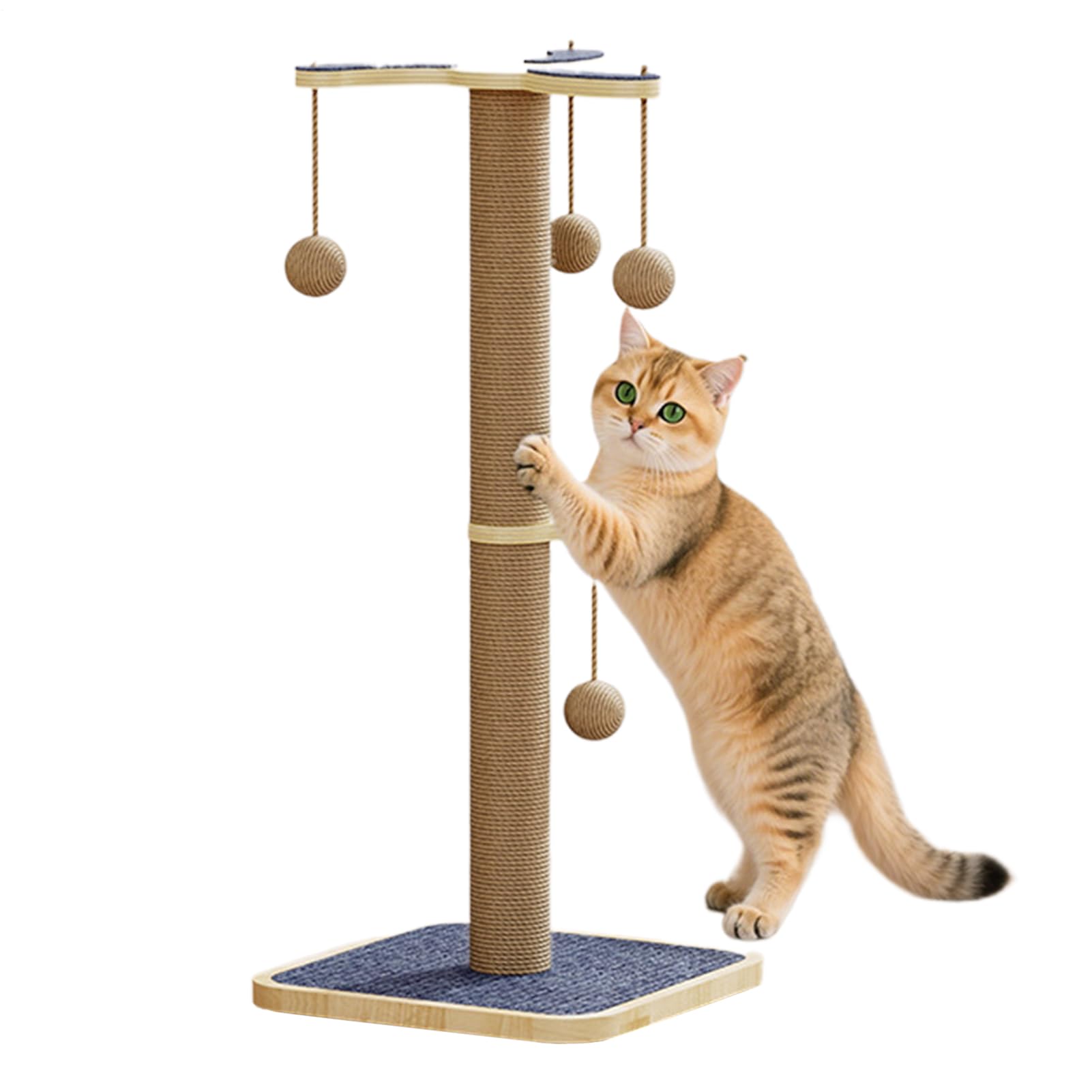 Grand Griffoir pour Chat Protège-Meubles Et Enrichissement