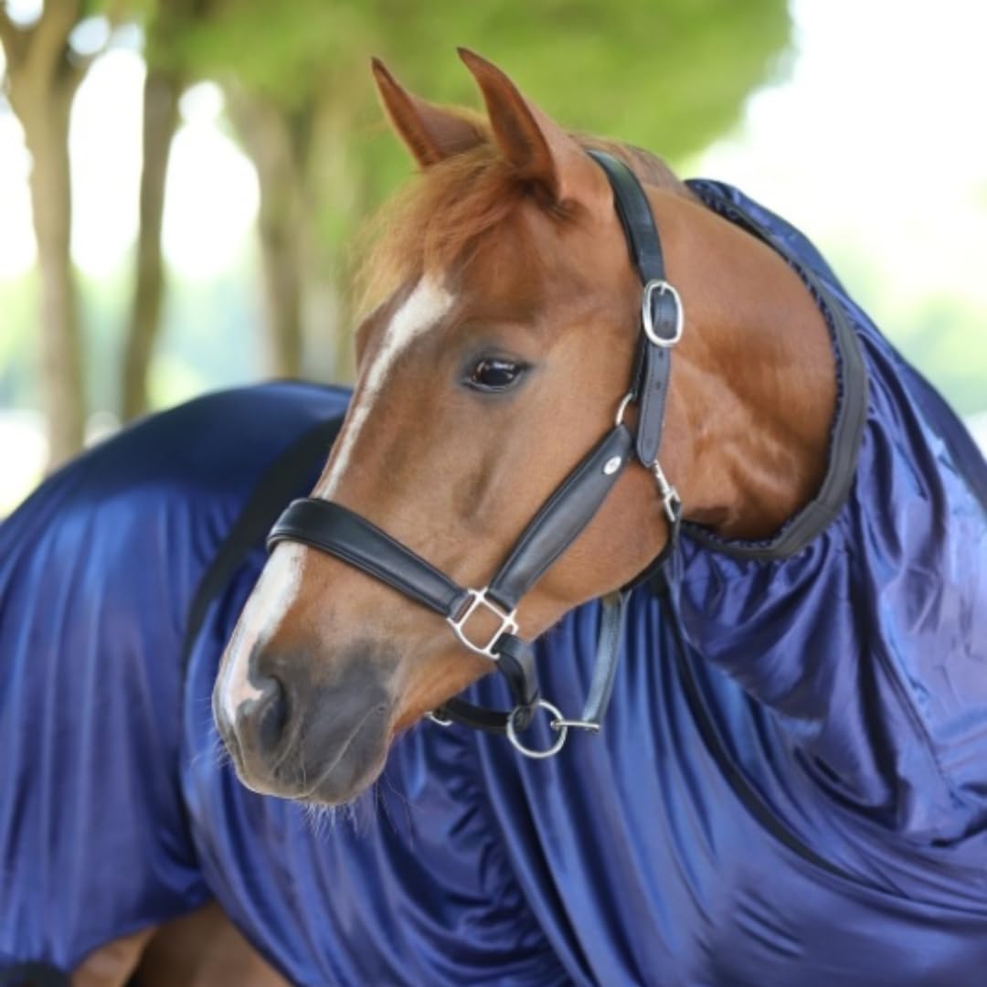 Marengos - Halfter Soft Comfort aus Leder – Pferdehalfter mit weich gepolstertem Nasenriemen & Genickstück – edles Lederhalfter – Pferde Zubehör in Schwarz – Vollblut, Warmblut & Pony