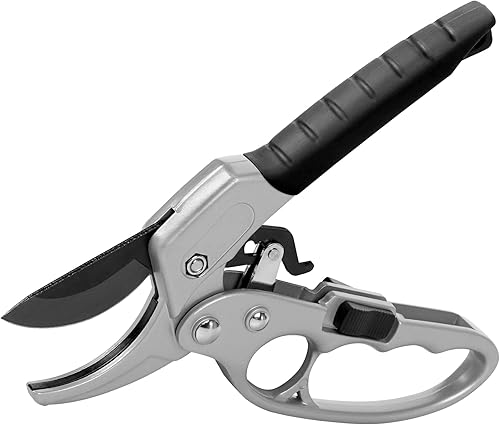 FIAWOJA Tijeras de podar para jardinería tijeras de jardín profesionales tijeras de jardinería afiladas para plantas jardín herramientas de jardín