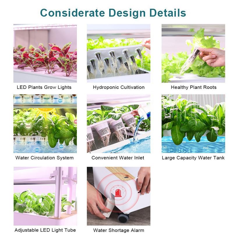 Tour de culture hydroponique – Système aéroponique d'intérieur pour herbes, fruits et légumes – Kit hydroponique complet avec GrowSponge