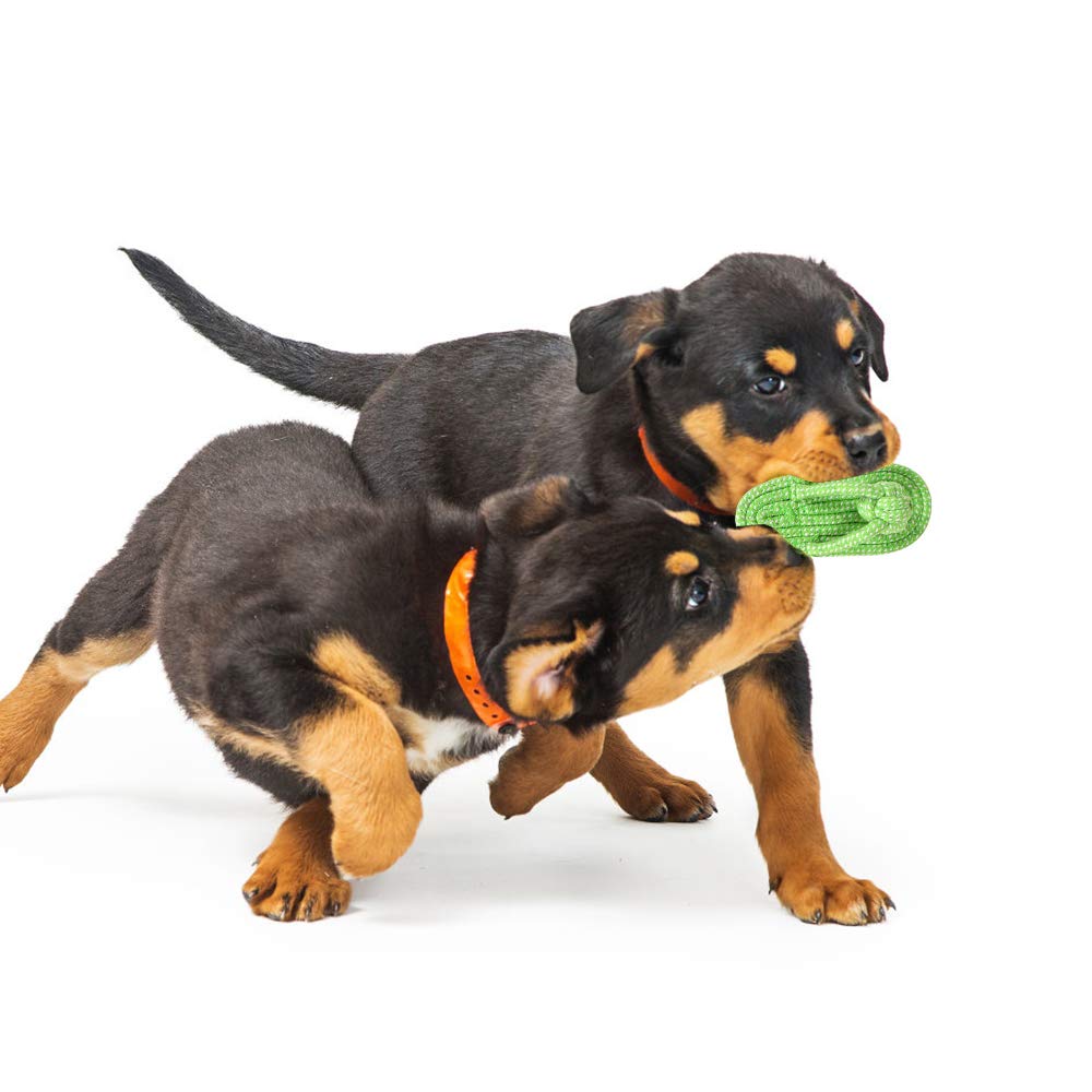 NA Hundespielzeug-Set, mehrfarbig, Welpenzahn, langlebig, bissfest