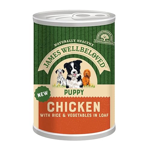 Produktbild von James Wellbeloved Junior Huhn Pastete - 6 x 400 g