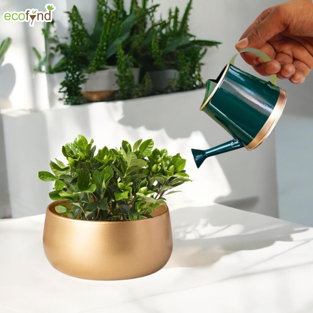 ecofynd 250 ml Mini Garden Watering Can for Plants for Kids (WC6: Kids with Gold Border, Green) 2