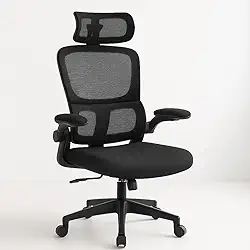 Cadeira Ergonômica para Escritório Malha Mesh Respirável, Giratória com Suporte Lombar Independente e Encosto de Cabeça Ajustável (Preto)