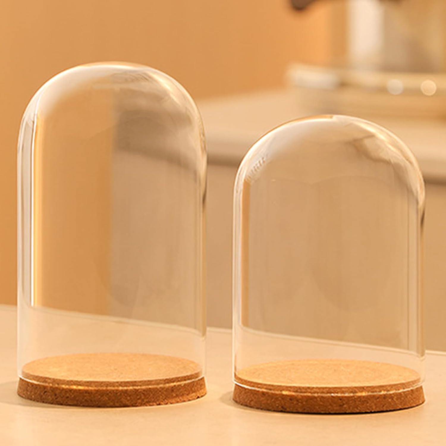 2Pieces Small Glass Dome Display Stand with Cork Base Cloche Bells Jar for Collectibles and Crafting Decoration Dome